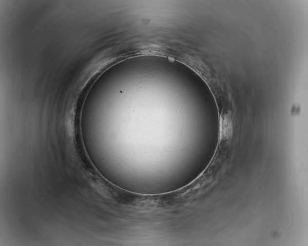 X0000103160291200808221400
