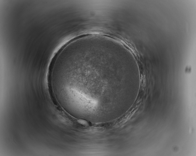 X0000103160292200808221400