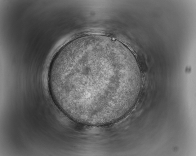 X0000103160293200808221400