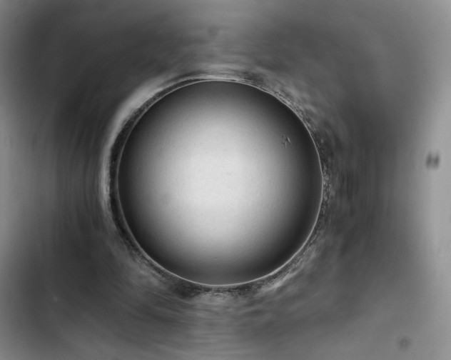 X0000103160294200808221400