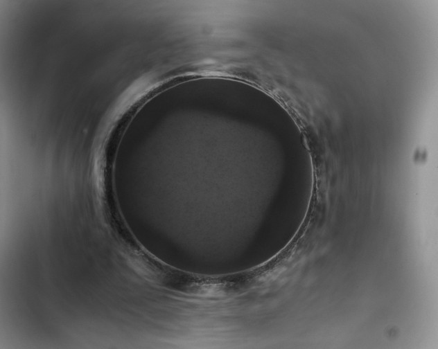 X0000103160295200808221400