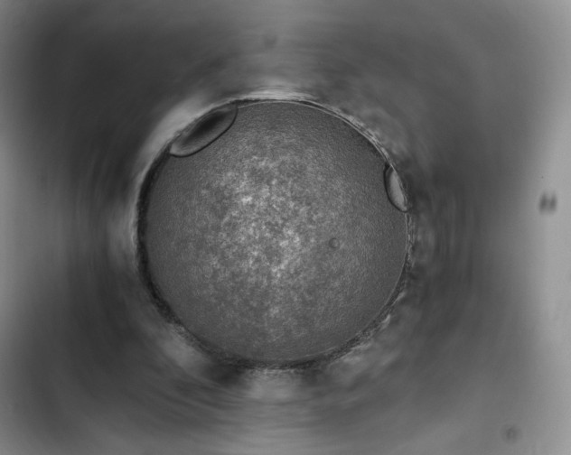 X0000103160296200808221400