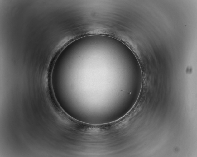 X0000103160298200808221400