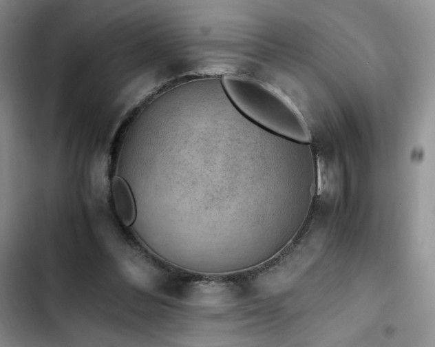 X0000103160300200808221400