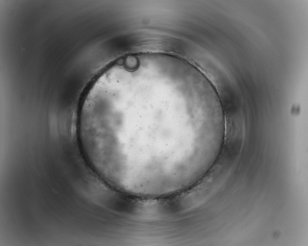 X0000103160301200808221400