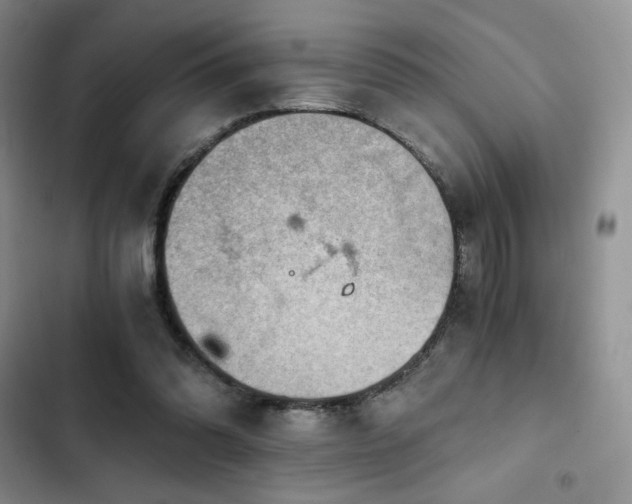 X0000103160302200808221400