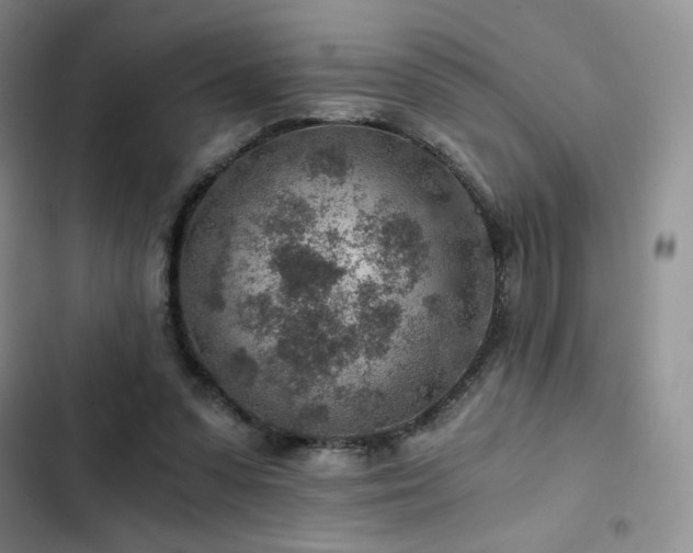 X0000103160303200808221400