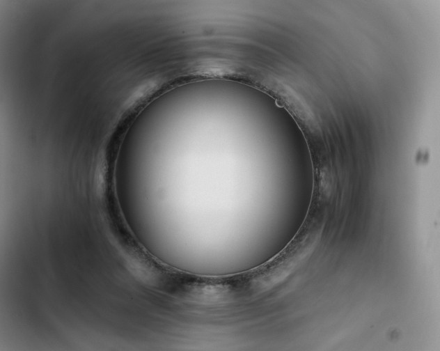 X0000103160304200808221400