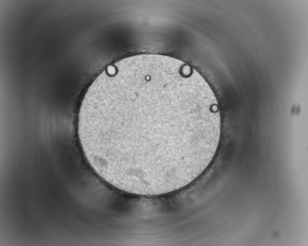 X0000103160305200808221400