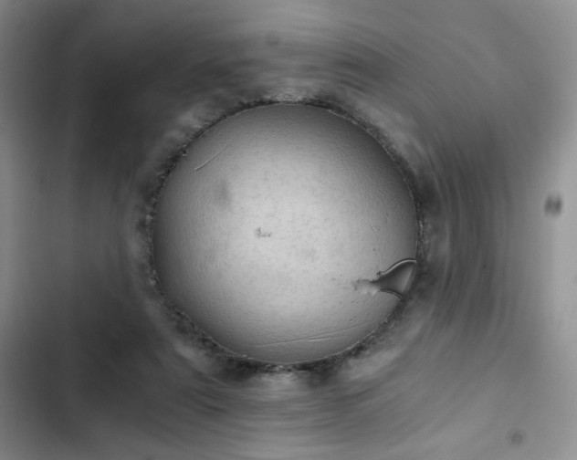 X0000103160307200808221400