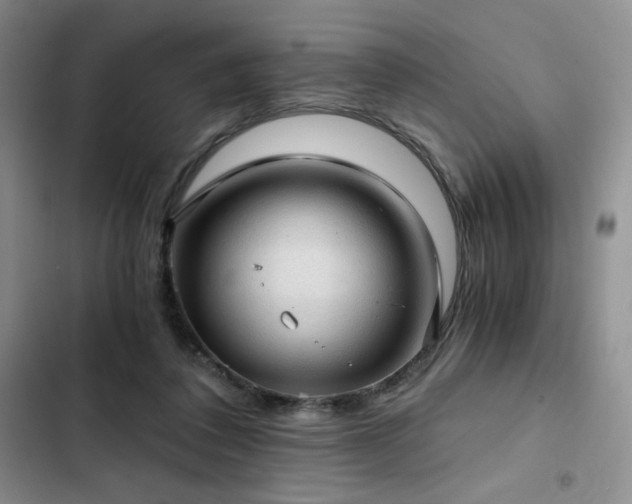X0000103160308200808221400