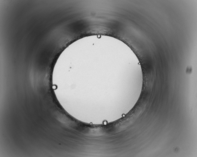 X0000103160309200808221400