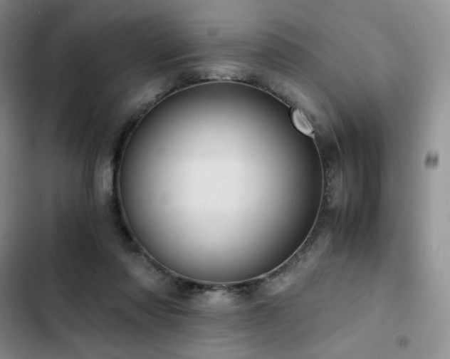 X0000103160310200808221400