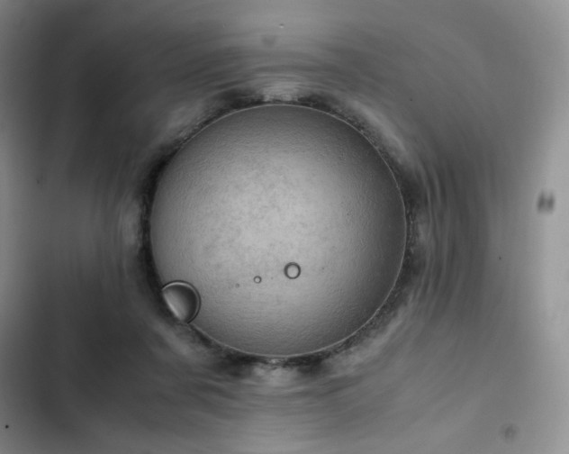 X0000103160311200808221400