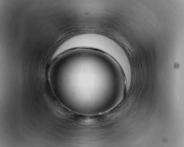 X0000103160312200808221400