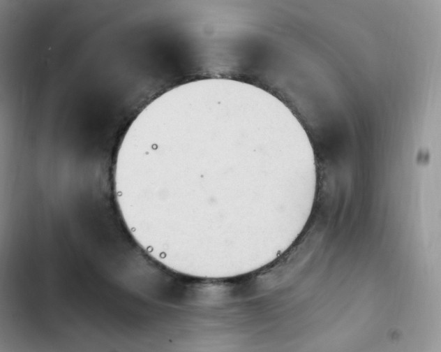 X0000103160313200808221400