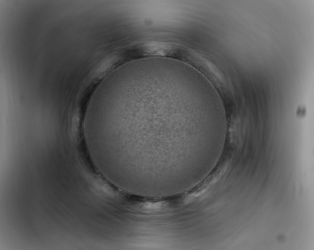 X0000103160314200808221400