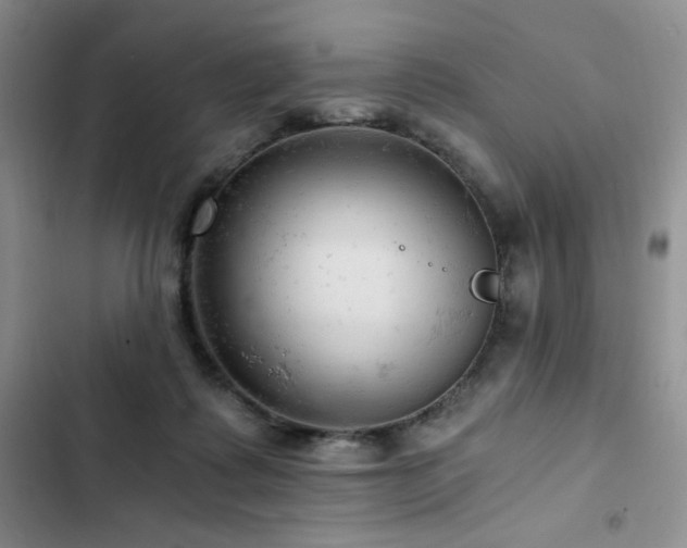 X0000103160315200808221400