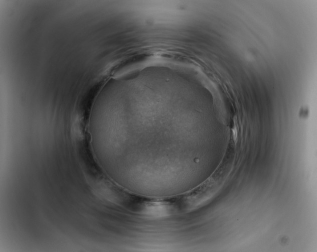X0000103160316200808221400