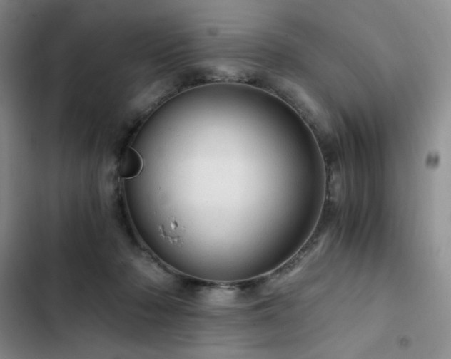 X0000103160318200808221400