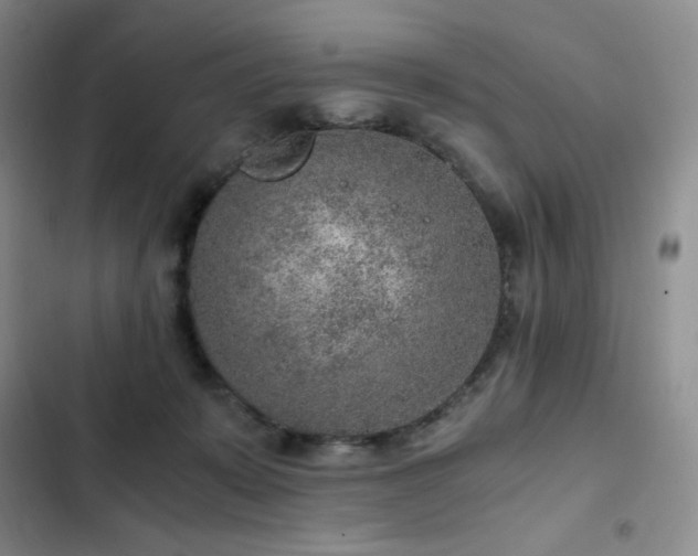 X0000103160319200808221400