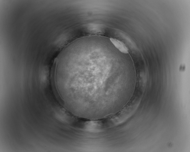 X0000103160320200808221400