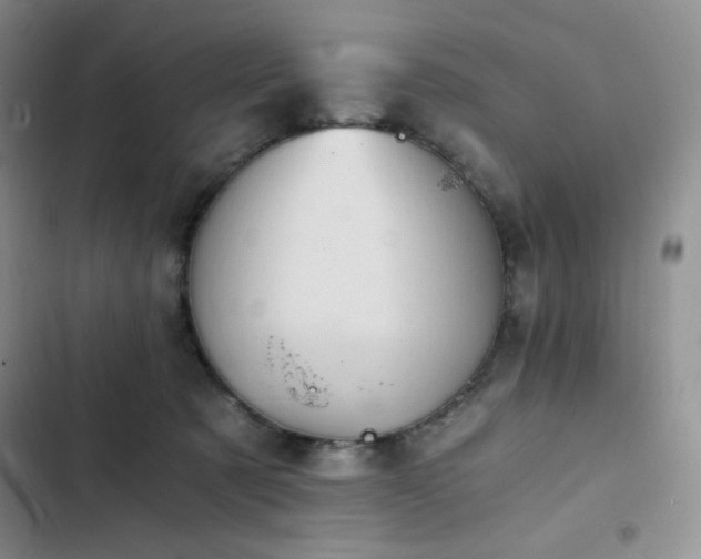 X0000103160321200808221400