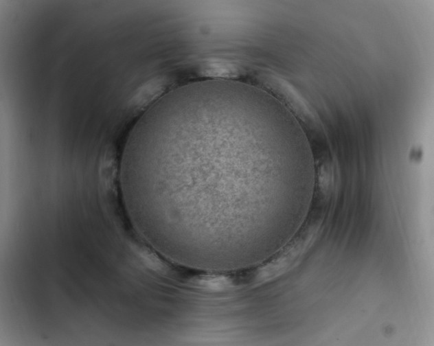 X0000103160322200808221400