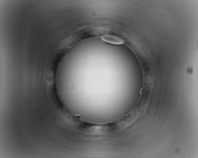 X0000103160323200808221400