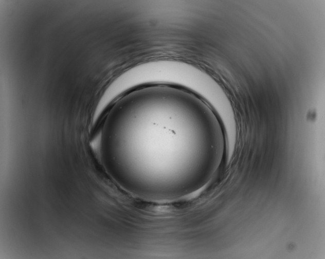 X0000103160324200808221400
