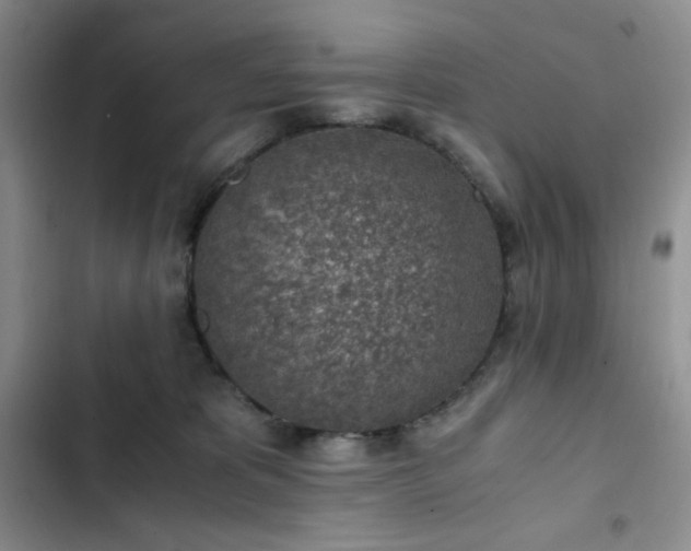 X0000103160325200808221400