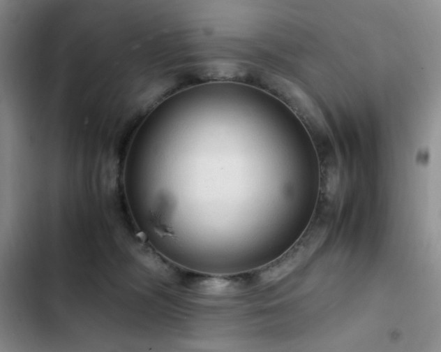 X0000103160326200808221400