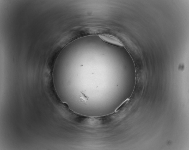 X0000103160327200808221400