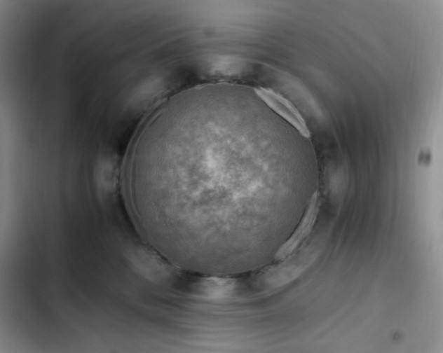 X0000103160328200808221400