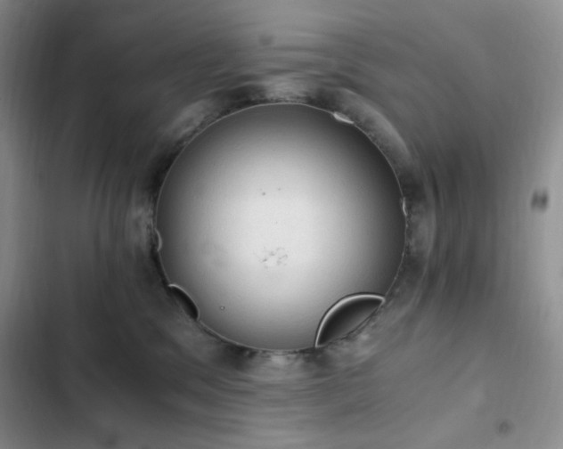 X0000103160329200808221400