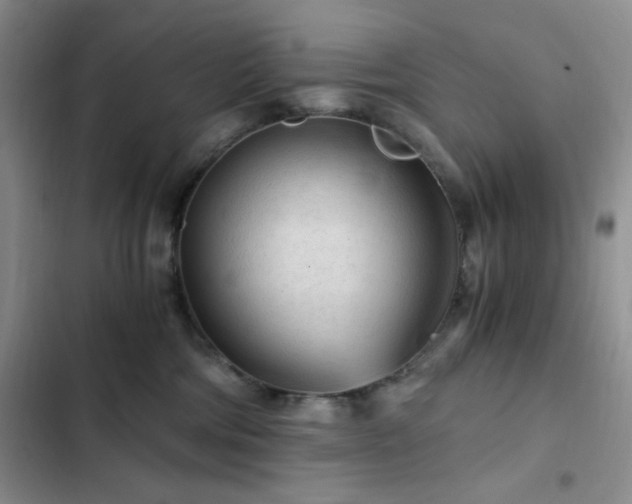 X0000103160330200808221400