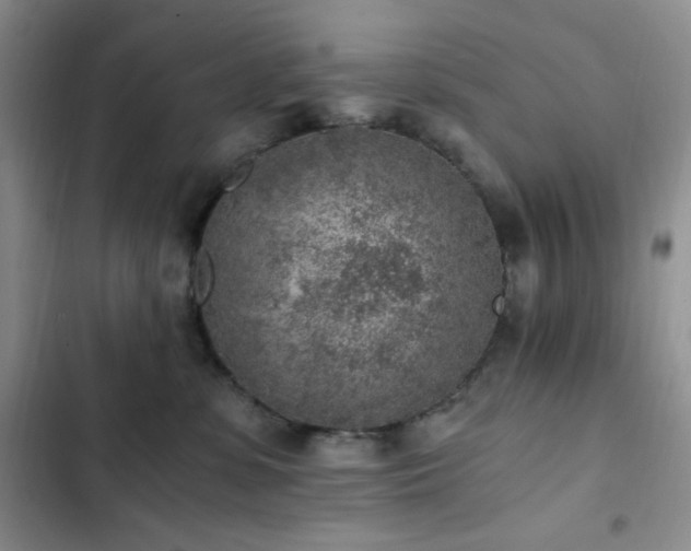 X0000103160331200808221400