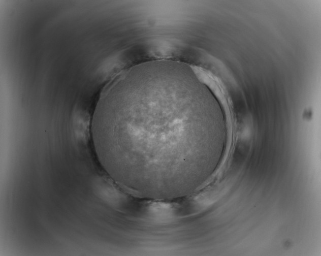 X0000103160332200808221400
