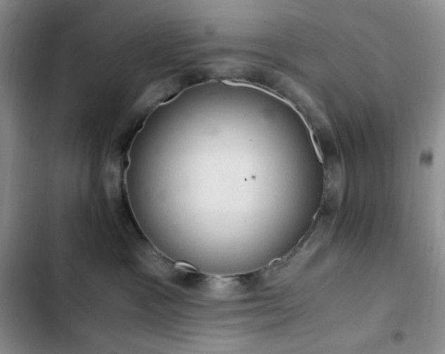X0000103160333200808221400
