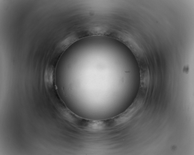 X0000103160334200808221400