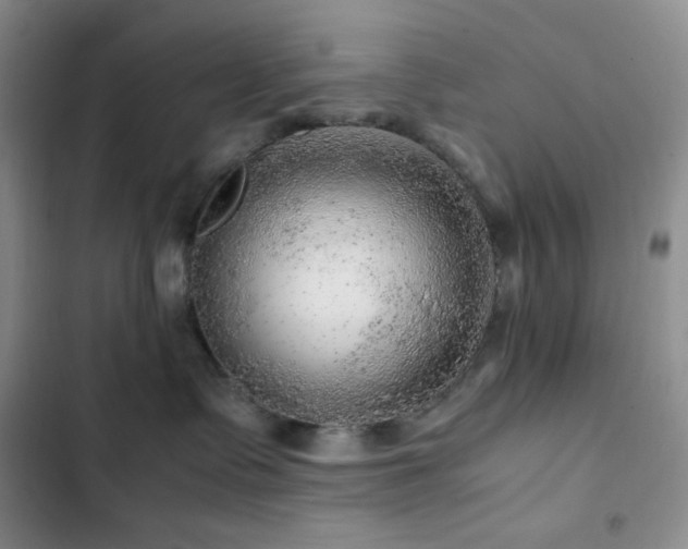 X0000103160335200808221400