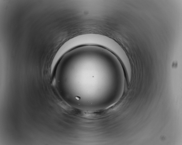 X0000103160336200808221400