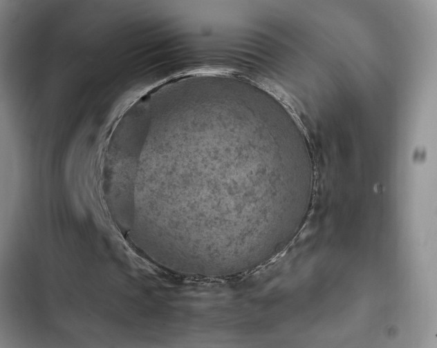 X0000103160337200808221359