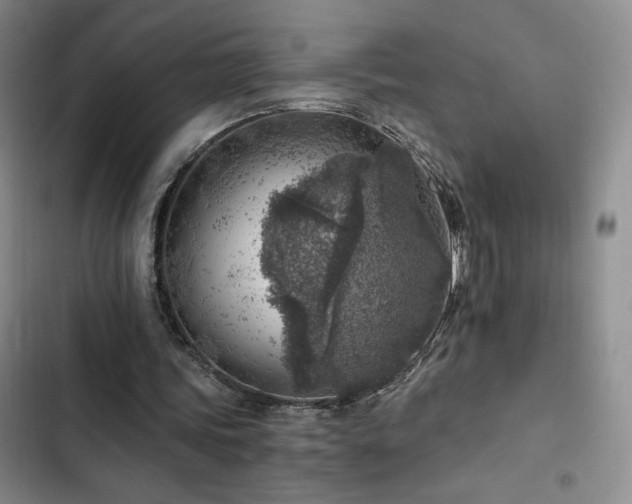 X0000103160339200808221359