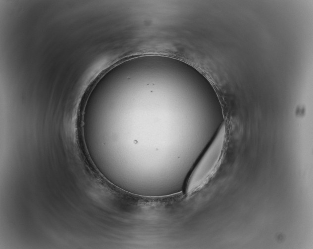 X0000103160340200808221359
