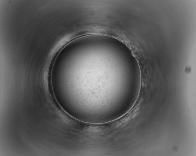 X0000103160341200808221359