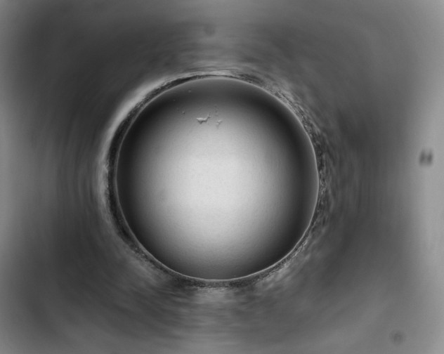 X0000103160342200808221359