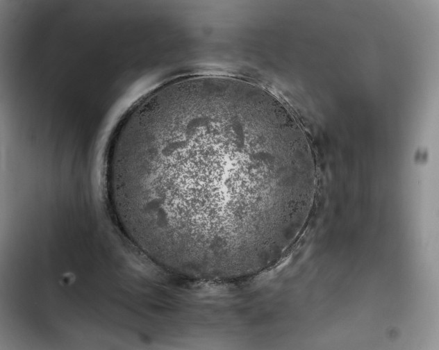 X0000103160343200808221359