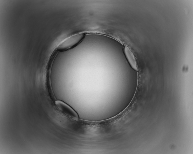 X0000103160344200808221359
