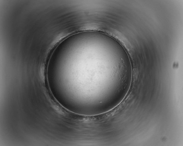 X0000103160345200808221359